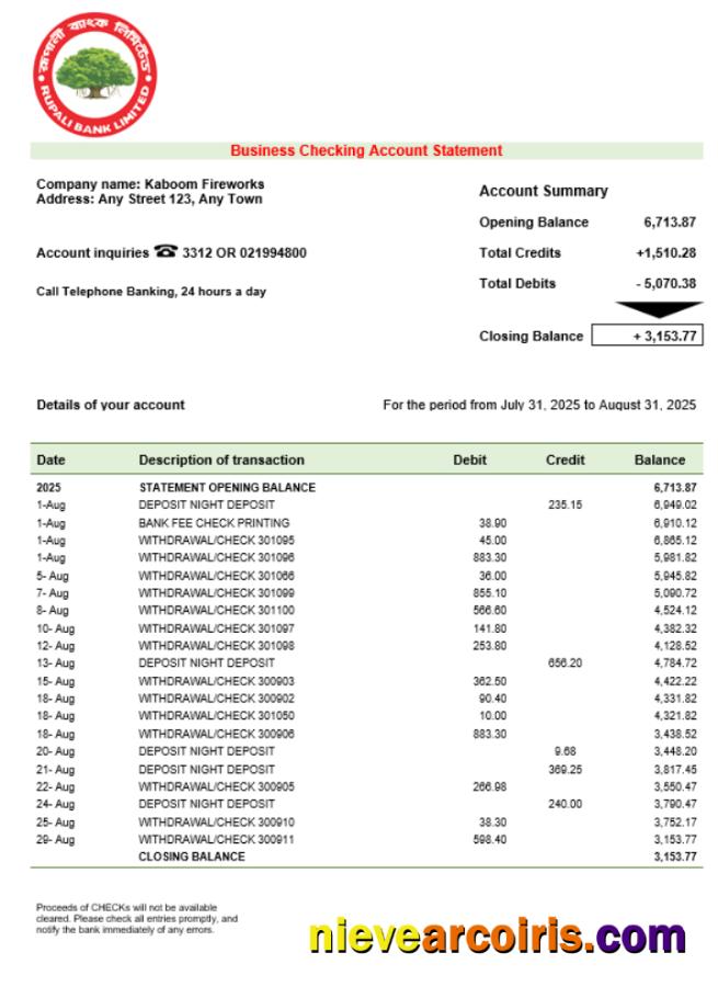 Rupali company checking account statement